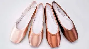 Gaynor Minden Pointe Shoes
