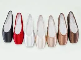 Gaynor Minden Pointe Shoes