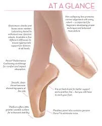 Gaynor Minden Pointe Shoes