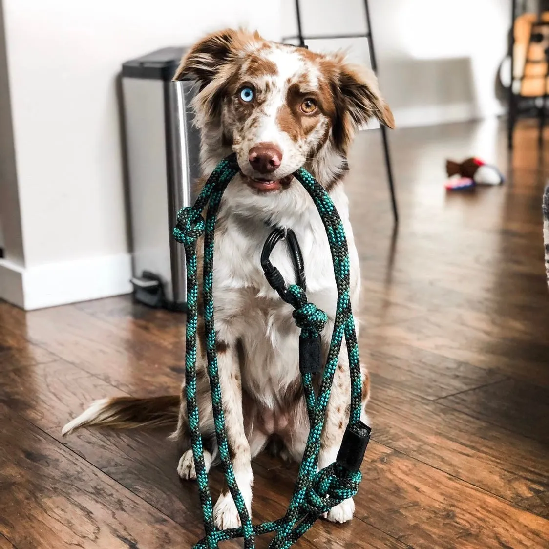 Granite Leash