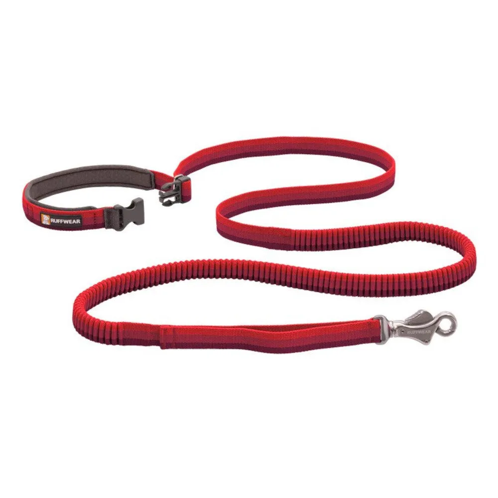 Roamer Dog Leash