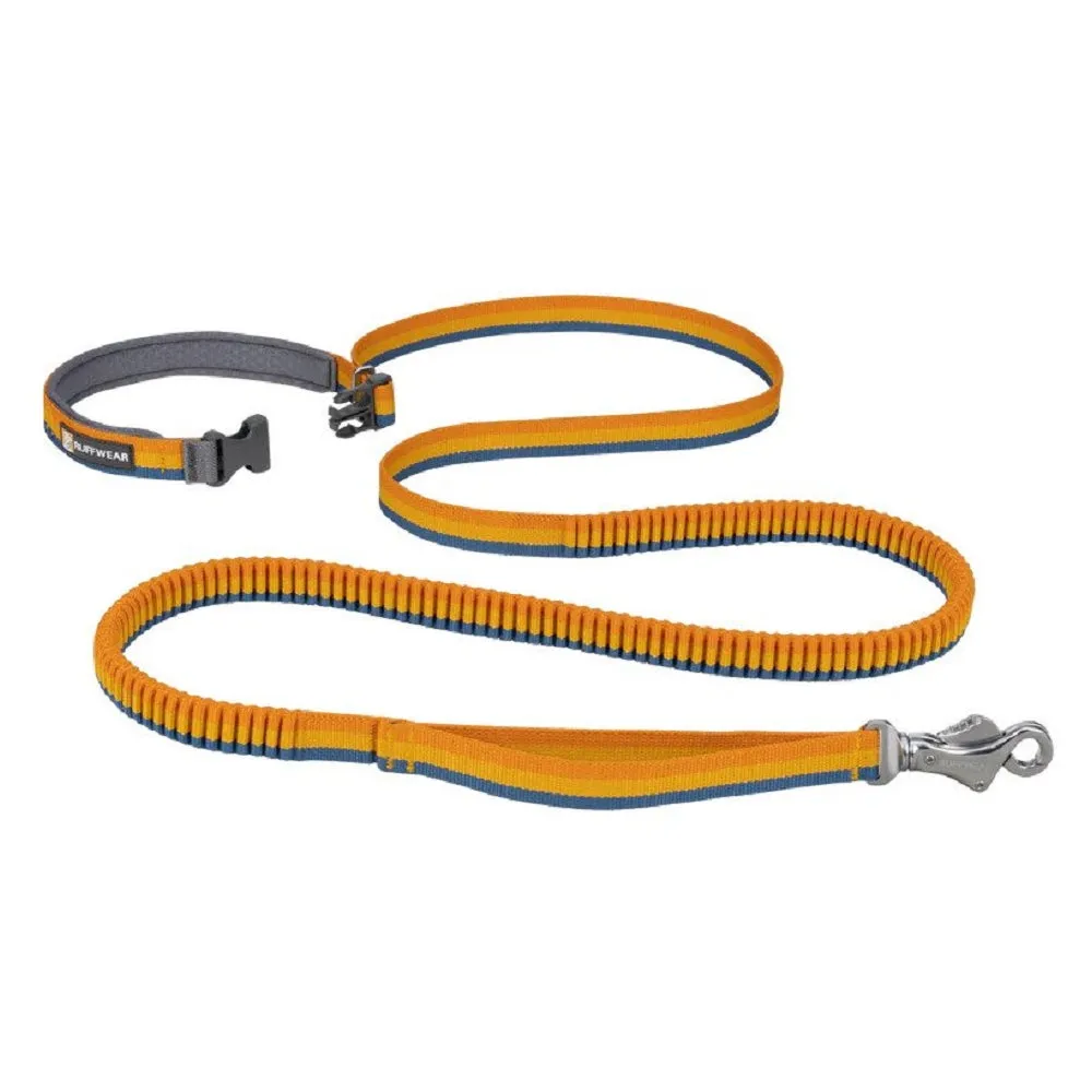 Roamer Dog Leash