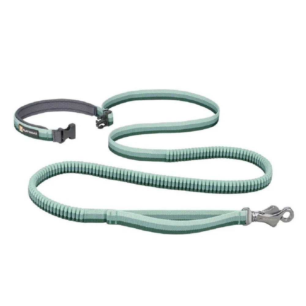 Roamer Dog Leash
